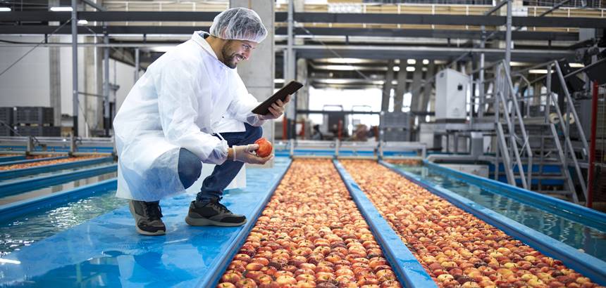 Boas Práticas Industriais para Reduzir o Desperdício na Indústria Alimentícia