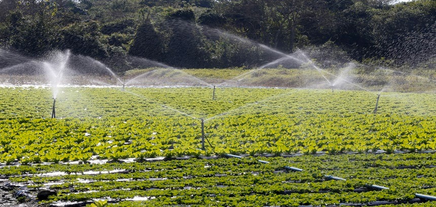 Sistemas de Irrigação